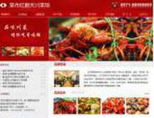 公司网站设计与视觉呈现 图片在网页设计中的核心作用与策略